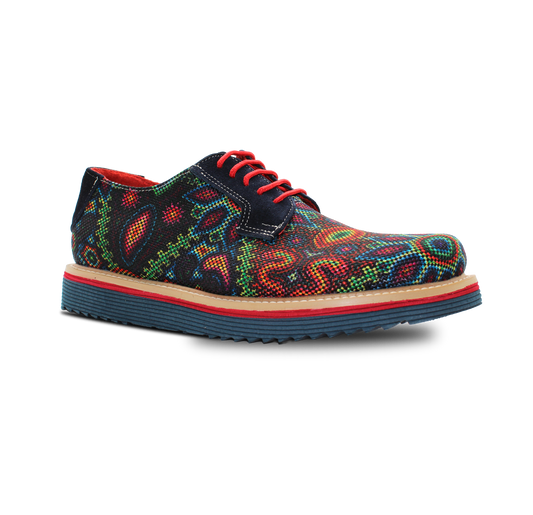 RA-4D HUICHOL MULTICOLOR