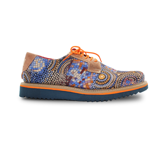 RA-4D GAUDI MULTICOLOR